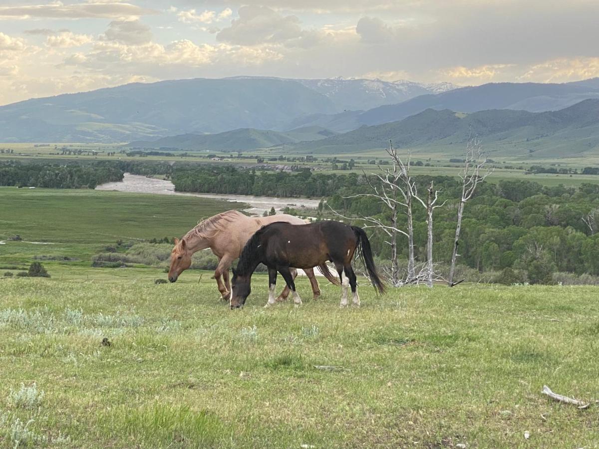Pine Creek Cabin Livingston Montana Kültér fotó