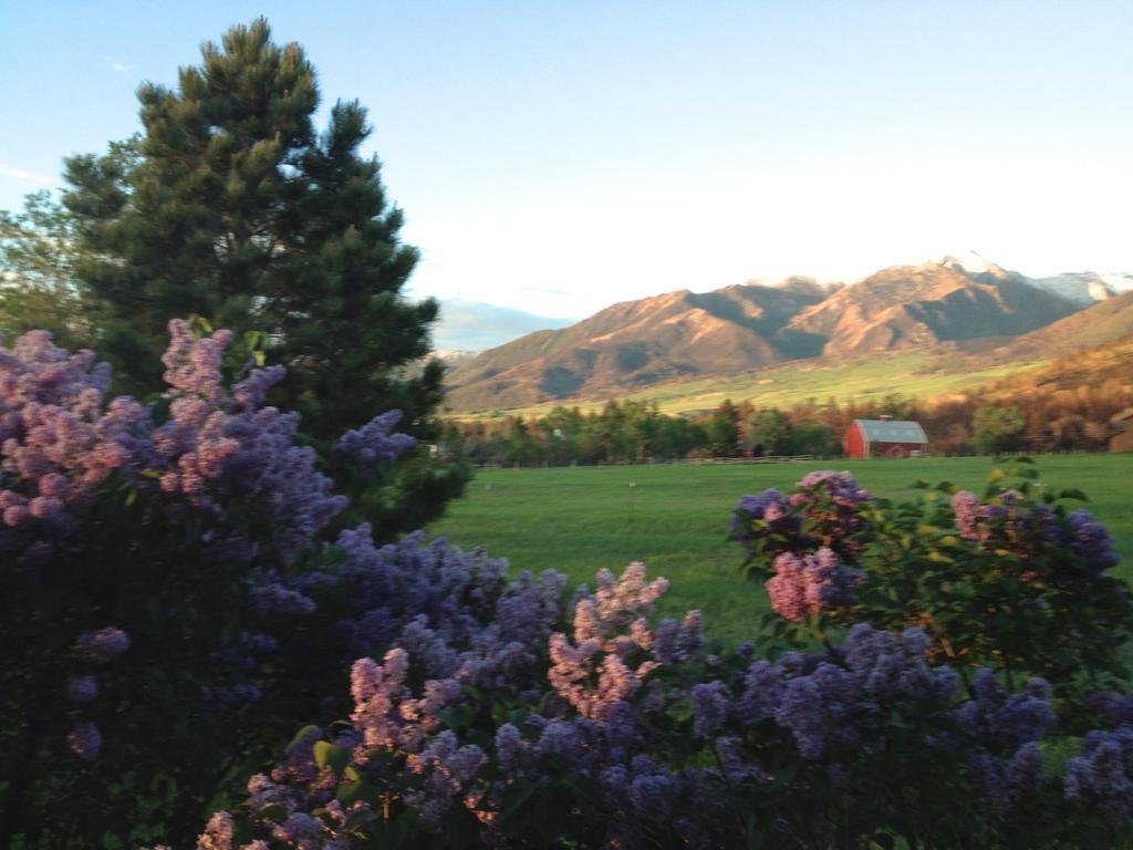 Pine Creek Cabin Livingston Montana Kültér fotó