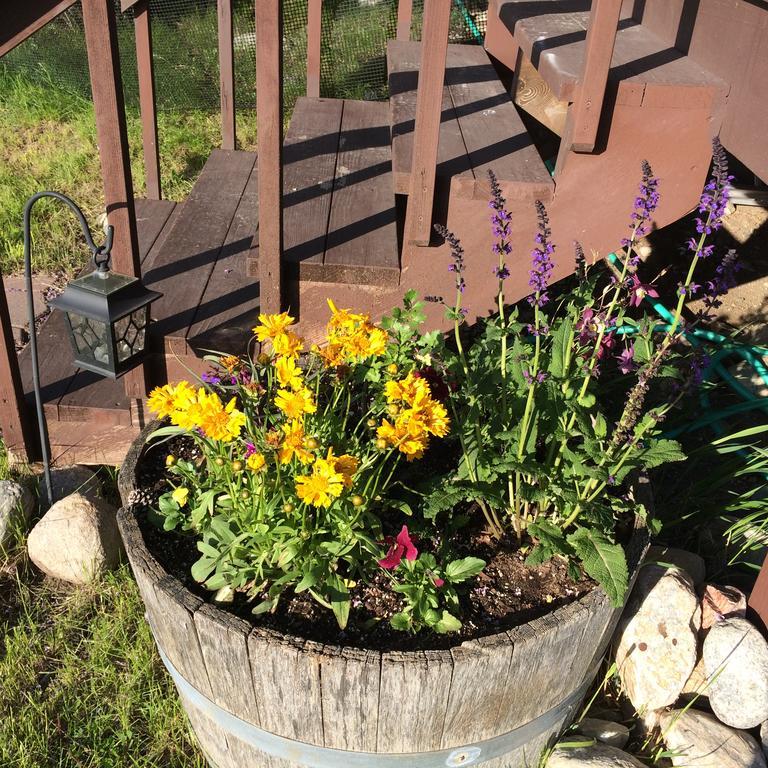 Pine Creek Cabin Livingston Montana Kültér fotó