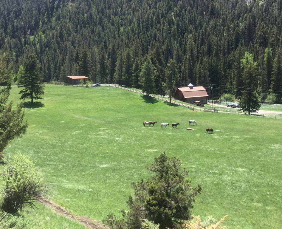 Pine Creek Cabin Livingston Montana Kültér fotó